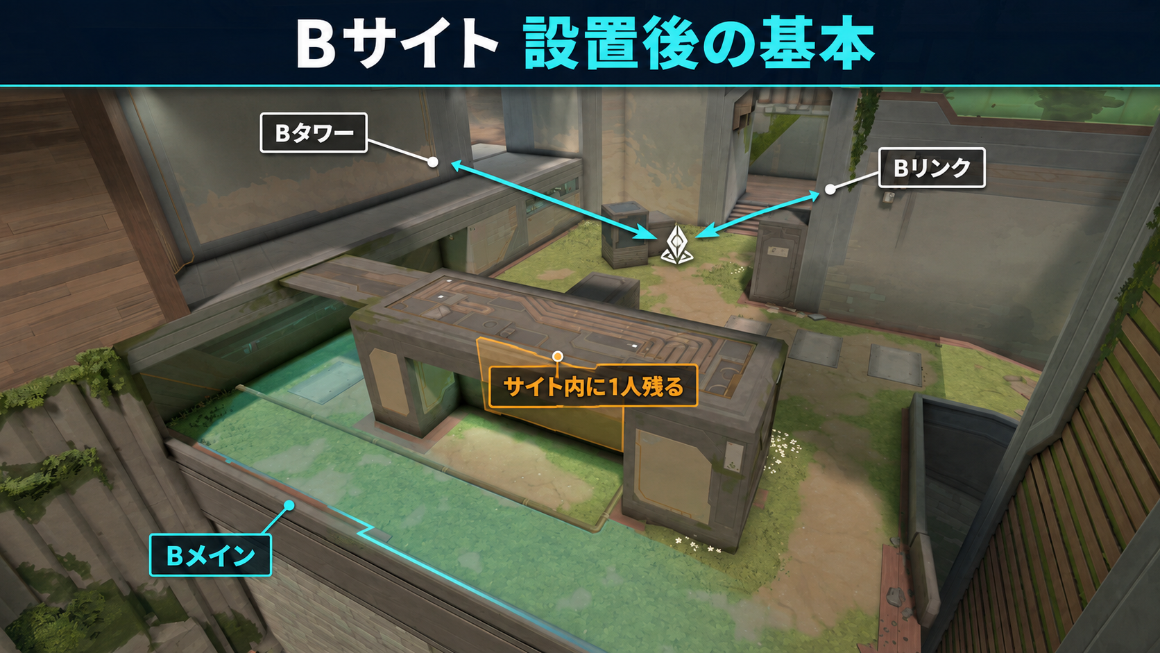 アビスBサイトの侵入と設置後の守り方